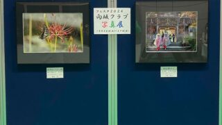 上中里地区センター フェスタに輝く力作品写真展