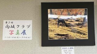 向坂クラブ写真展(第3回)