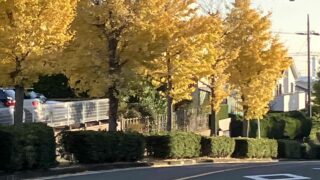私の散歩道(その3)