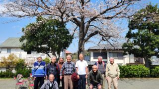 🌸向坂公園で春を味わう花見(2025/4/5)