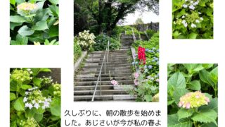 私の散歩(その4)